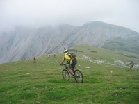 2005