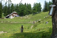 Ture 2012
