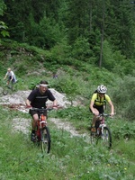 Trebuša