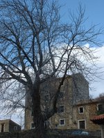 Parenzana 1/4